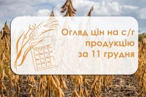 Соняшник подорожчав — огляд цін на с/г продукцію за 11 грудня