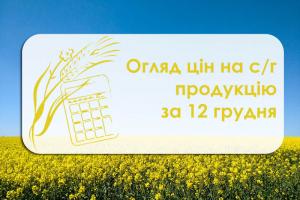 Вартість зернових та олійних стабільна — огляд цін на с/г продукцію за 12 грудня