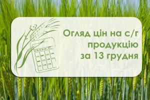 Соняшник подорожчав у портах обох областей — огляд цін на с/г продукцію за 13 грудня