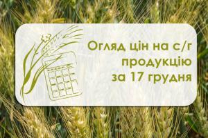 Вартість зернових та олійних за вихідні не змінилася — огляд цін на с/г культури за 17 грудня 