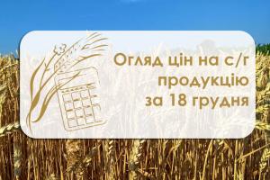 Вартість зернових та олійних не змінилися від учора — огляд цін на с/г продукцію за 18 грудня