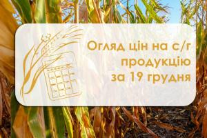 Пшениця та ячмінь подорожчали — огляд цін на с/г продукцію за 19 грудня