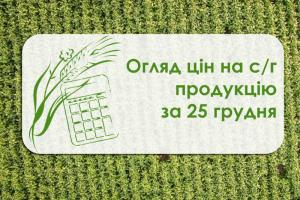 Пшениця подорожчала, а соя подешевшала — огляд цін на с/г продукцію за 25 грудня