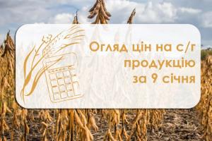 Огляд цін на с/г продукцію за 9 січня