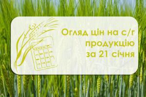 Огляд цін на с/г продукцію за 21 січня