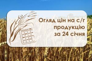 Огляд цін на с/г продукцію за 24 січня