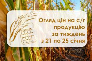 Огляд цін на с/г продукцію за тиждень з 21 по 25 січня