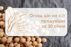 Огляд цін на с/г продукцію за 30 січня