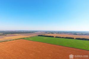 Фермери озвучили шахрайські схеми на електронних земельних торгах