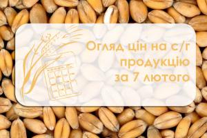 Огляд цін на с/г продукцію за 7 лютого