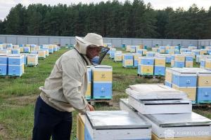 Київська обласна спілка пасічників вийшла зі Спілки пасічників України