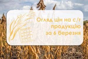 Огляд цін на с/г продукцію за 6 березня