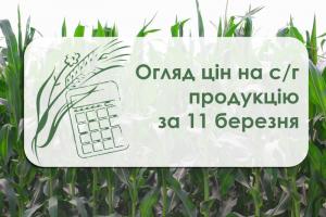 Огляд цін на с/г продукцію за 11 березня