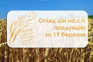 Ціна сої у Миколаївському порту піднялась — огляд цін на с/г продукцію за 19 березня