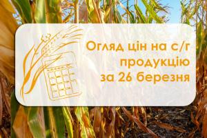 Зросла вартість пшениці, кукурудзи та соняшнику — огляд цін на с/г продукцію за 26 березня