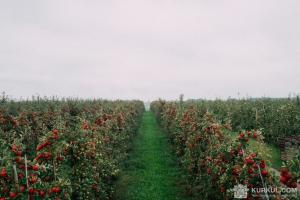 На Луганщині запрацює Школа фермерства