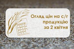 У портах Одеської області знову почав дешевшати ріпак — огляд цін на с/г продукцію за 2 квітня