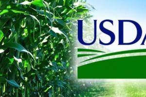 USDA ліквідує СНД у світових звітах