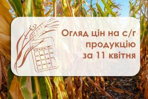 Соняшник, ріпак та соя подешевшали — огляд цін на с/г культури за 11 квітня