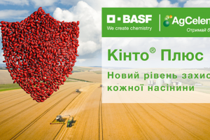 BASF презентувала новий фунгіцидний протруйник для зернових Кінто® Плюс