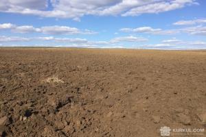 Впровадження нормативної грошової оцінки земель призведе до втрати 2 мдрд грн 