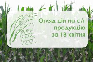 Вартість соняшнику зросла — огляд цін на с/г продукцію за 18 квітня