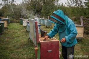 В Україні нарахували 100 тисяч пасічників