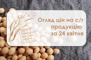 Зросла вартість соняшнику — огляд цін на с/г продукцію за 24 квітня 