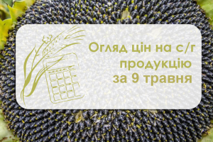 Соняшник упевнено дорожчає —  огляд цін на с/г продукцію за 9 травня