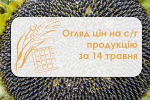 Соняшник подорожчав — огляд цін на с/г продукцію за 14 травня 