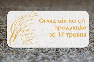 Ціни на зернові продовжують знижуватись — огляд цін на с/г продукцію за 17 травня