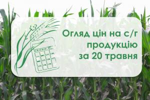 У портах Одещини та Миколаївщини подешевшав соняшник — огляд цін на с/г продукцію за 20 травня