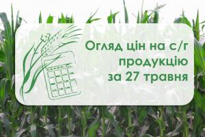 Кукурудза подешевшала — огляд цін на с/г продукцію за 27 травня