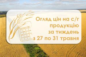 Кукурудза та пшениця подорожчали — огляд цін на с/г продукцію за тиждень з 27 по 31 травня