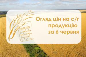 Кукурудза та соя подорожчали — огляд цін на с/г продукцію за 6 червня