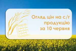 Кукурудза та соняшник подешевшали — огляд цін на с/г продукцію за 10 червня