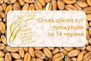 Ціна сої продовжує зростати — огляд цін на с/г продукцію за 14 червня