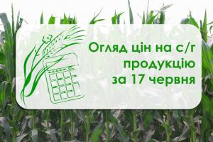 Як змінилися ціни на зернові та олійні — огляд цін на с/г продукцію за 17 червня