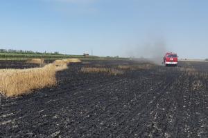 На Миколаївщині та Одещині поля охопив вогонь