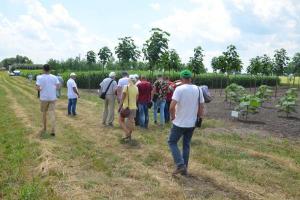 Огляд полігону біоенергетичних культур