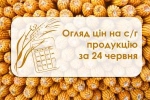 Огляд цін на с/г продукцію за 24 червня