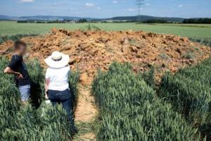 На ячмінному полі вибухнула бомба часів Другої світової війни