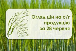 Огляд цін на с/г продукцію за 28 червня