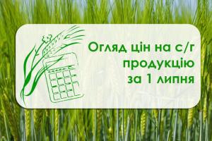 У портах Одещини зросла ціна ріпаку та пшениці фуражної — огляд цін на с/г продукцію за 1 липня 