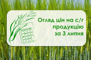 Зернові подорожчали, ріпак знизився в ціні — огляд цін на с/г продукцію за 3 липня 