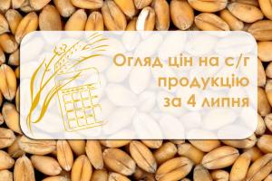 У порту Миколаївської області зросла вартість соняшнику — огляд цін на с/г продукцію за 4 липня 