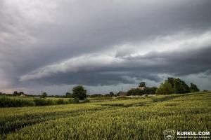 На Вінниччині зливи змили 4,5 тисяч га зернових