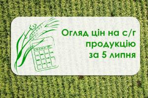 Пшениця, ячмінь та ріпак подешевшали — огляд цін на с/г продукцію за 5 липня 