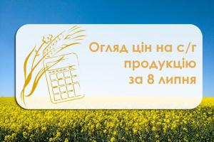 Вартість ріпаку зросла — огляд цін на с/г продукцію за 8 липня 