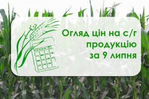 Ціна ріпаку почала знижуватись — огляд цін на с/г продукцію за 9 липня 